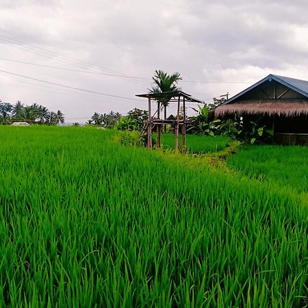 Bayan Exotic Homestay Senaru Ngoại thất bức ảnh