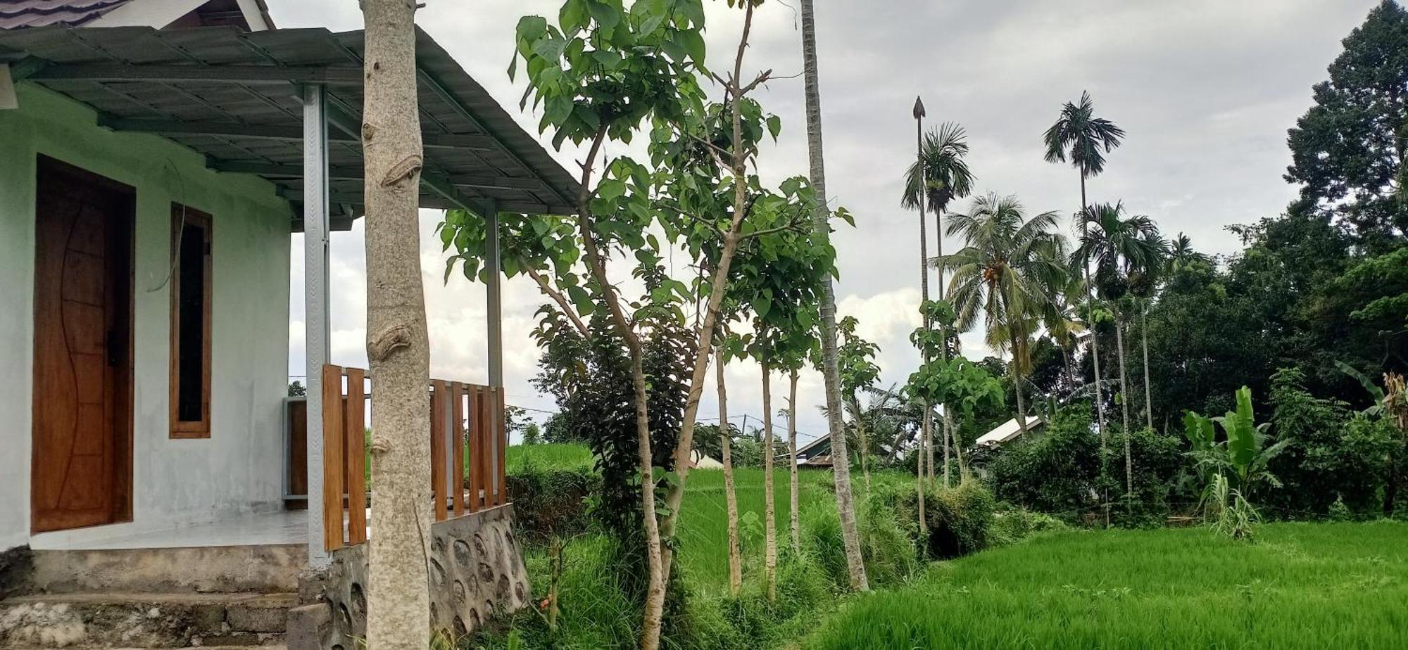 Bayan Exotic Homestay Senaru Ngoại thất bức ảnh