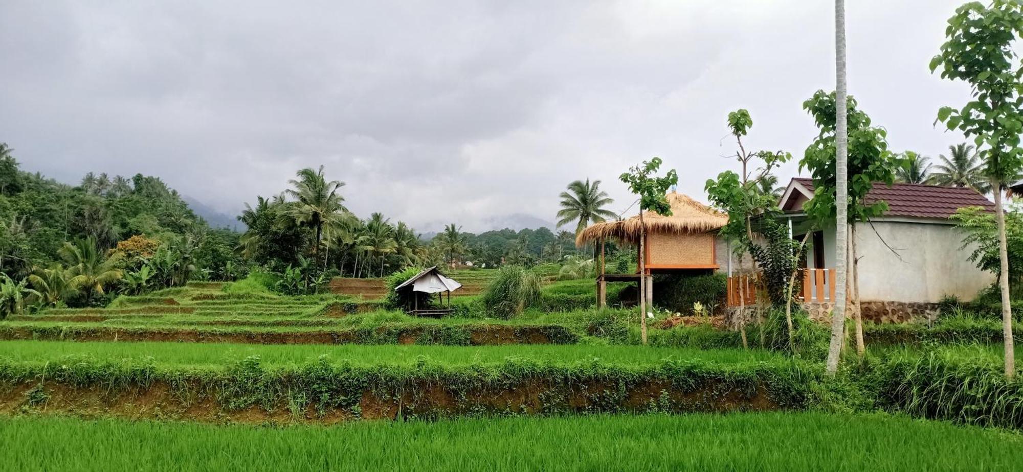 Bayan Exotic Homestay Senaru Ngoại thất bức ảnh