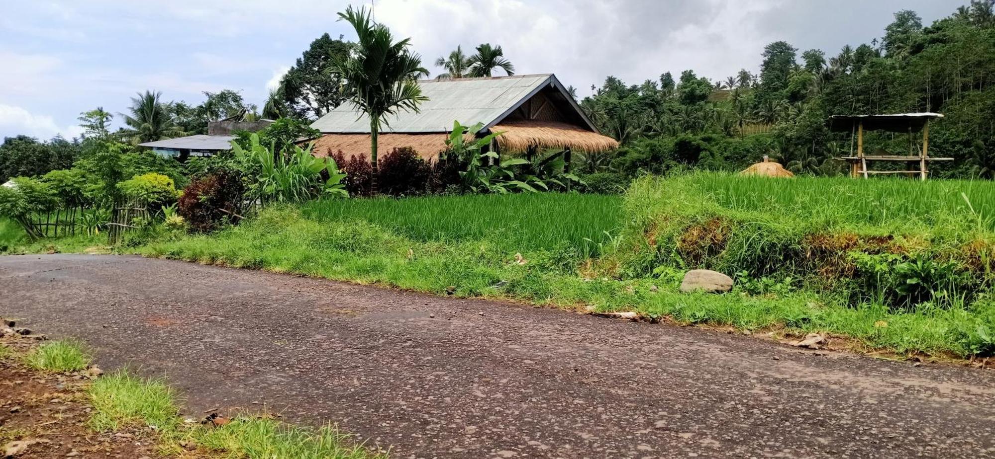 Bayan Exotic Homestay Senaru Ngoại thất bức ảnh