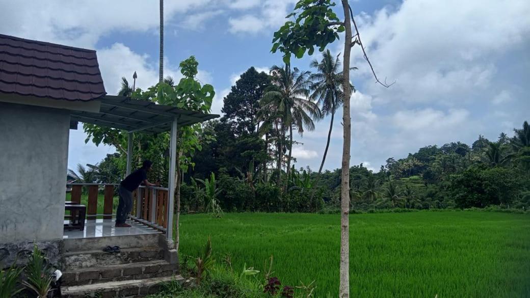 Bayan Exotic Homestay Senaru Ngoại thất bức ảnh