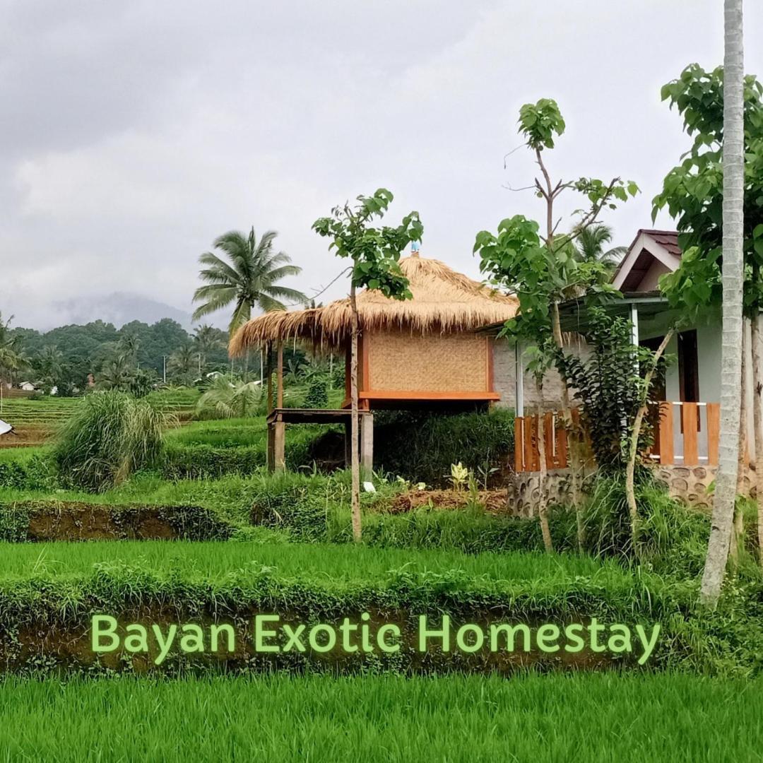 Bayan Exotic Homestay Senaru Ngoại thất bức ảnh