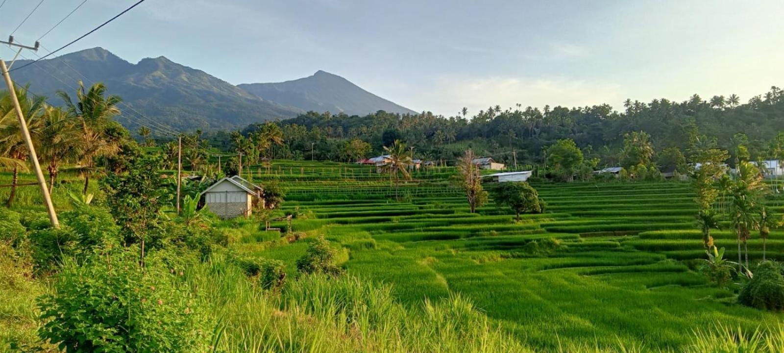 Bayan Exotic Homestay Senaru Ngoại thất bức ảnh