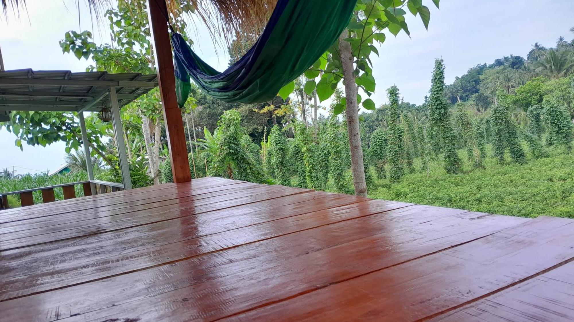 Bayan Exotic Homestay Senaru Ngoại thất bức ảnh