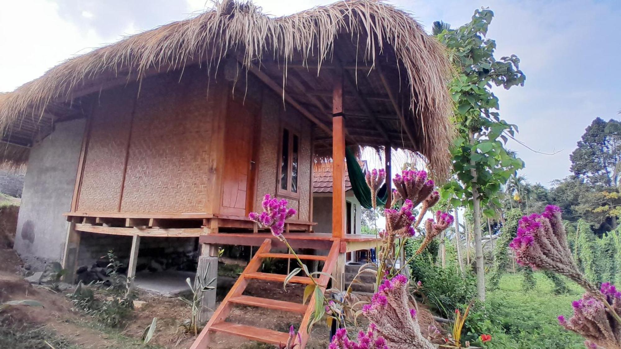 Bayan Exotic Homestay Senaru Ngoại thất bức ảnh